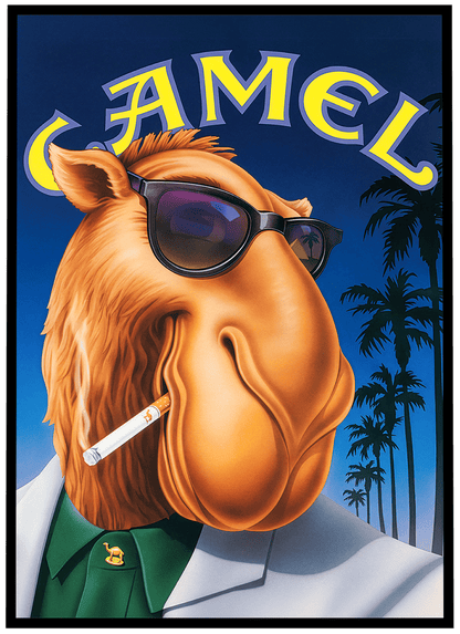 Camel #08