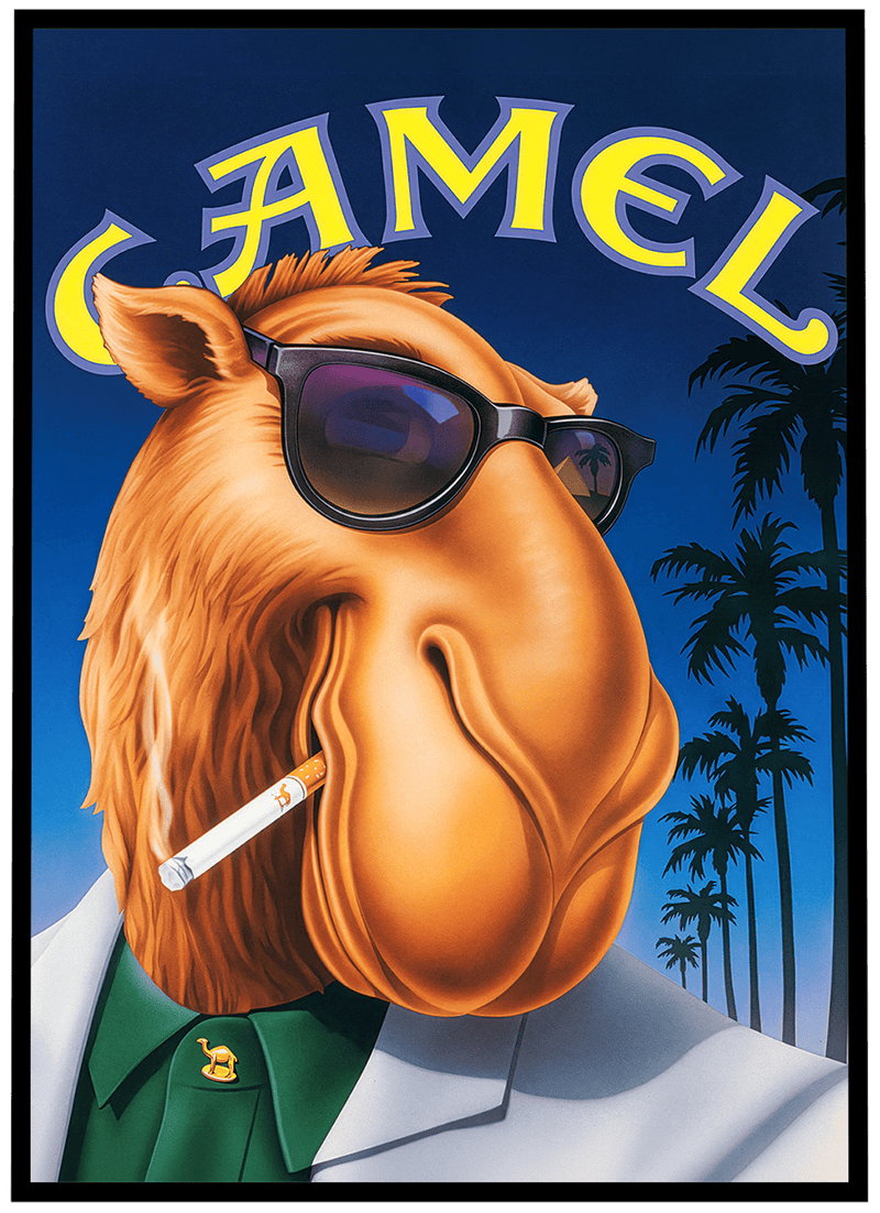 Camel #08