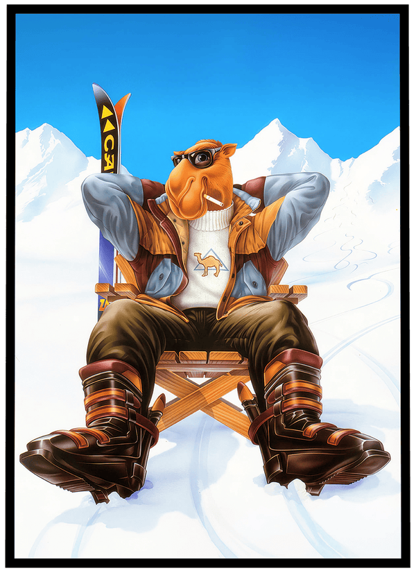 Camel #31