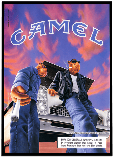 Camel #33