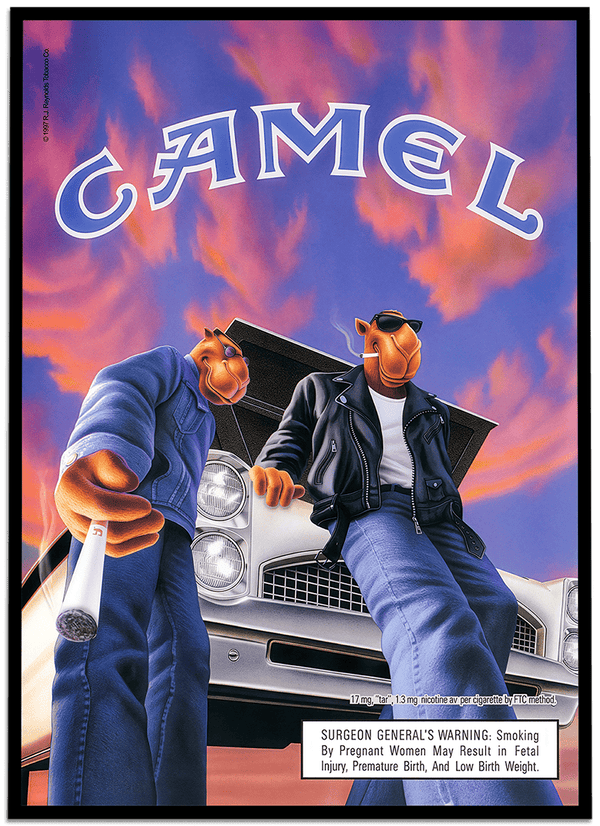 Camel #33
