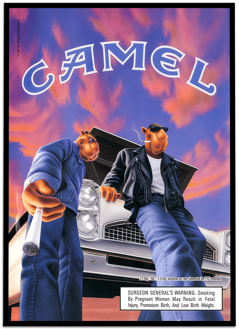 Camel #33