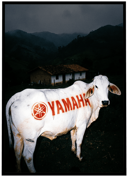 Yamaha #78